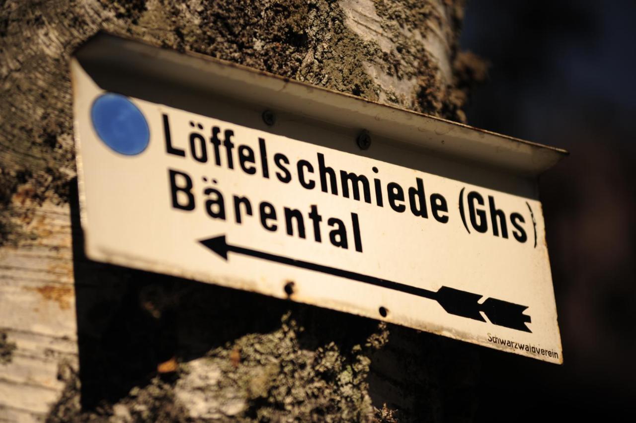 Erfurths Bergfried Ferien & Wellnesshotel ヒンターツァルテン エクステリア 写真